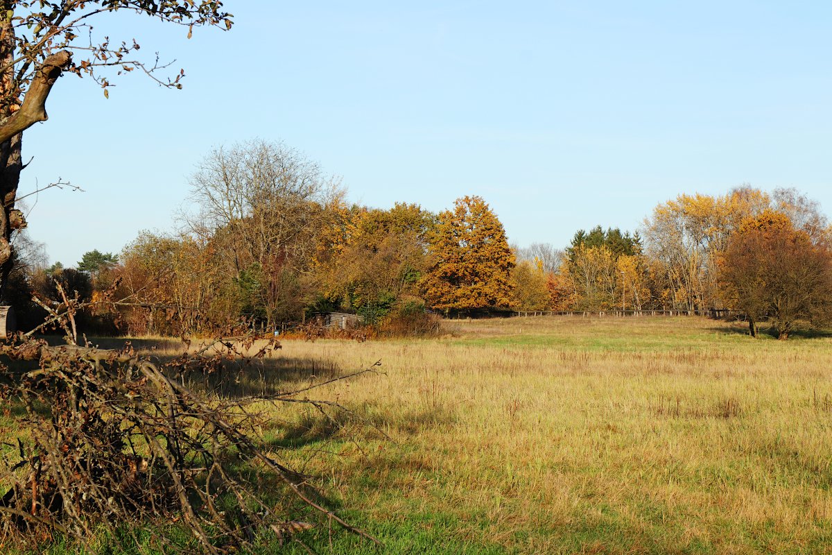Amerikafeld und Schindkaute bei Steinheim
