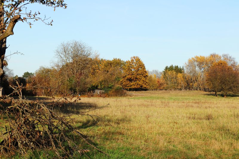 Amerikafeld und Schindkaute bei Steinheim