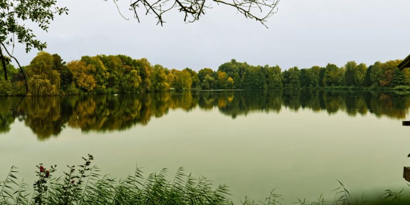 Birkensee