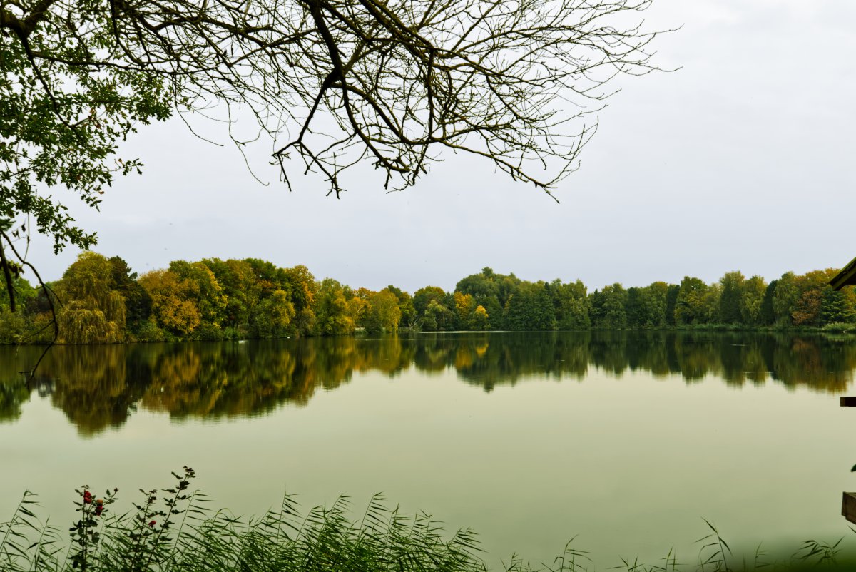 Birkensee