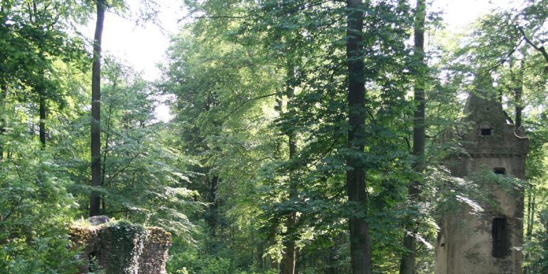 Brunnenkranz der Klosterruine