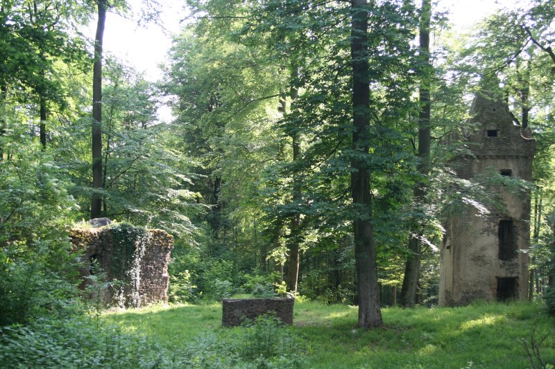 Brunnenkranz der Klosterruine