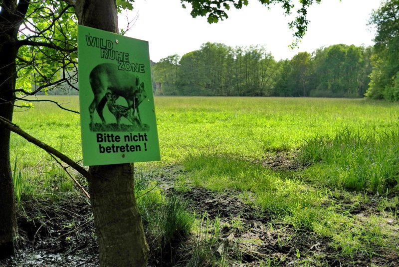 Hochbruch von Hausen
