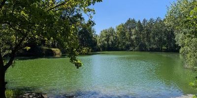 Neuwirtshäuser Weiher