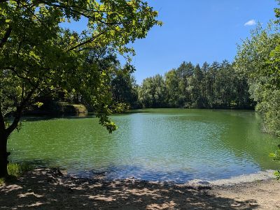 Neuwirtshäuser Weiher