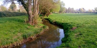 Salisbach