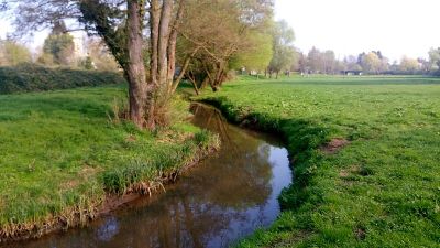 Salisbach