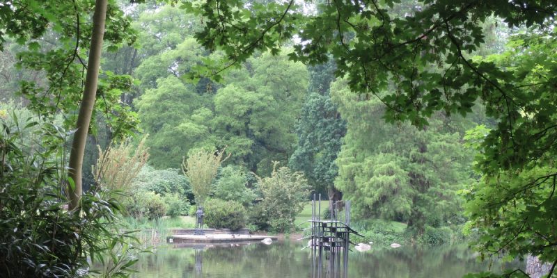 Schlossgarten
