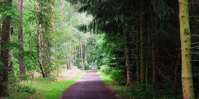 Wildpark Alte Fasanerie Hanau