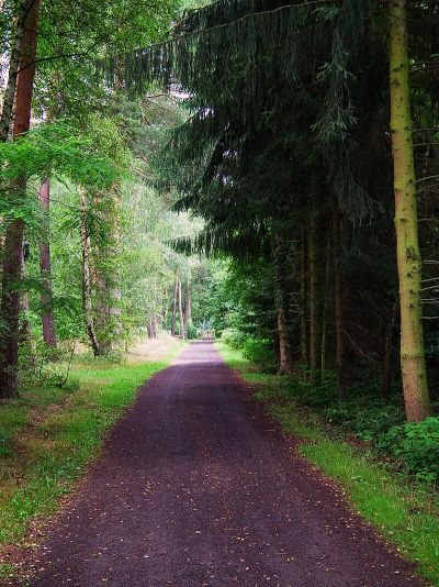 Wildpark Alte Fasanerie Hanau