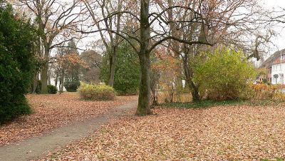 Alter Friedhof