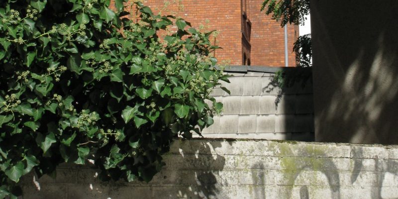 Artvigo Bilder/Gemälde