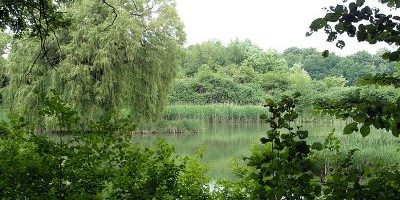 Badebornteich