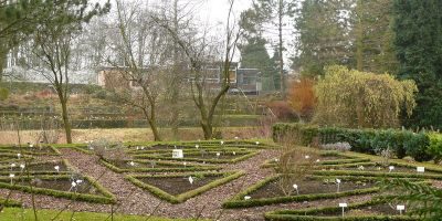 Botanischer Schulgarten Burg