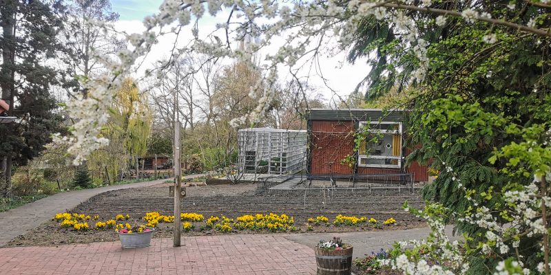 Botanischer Schulgarten Linden
