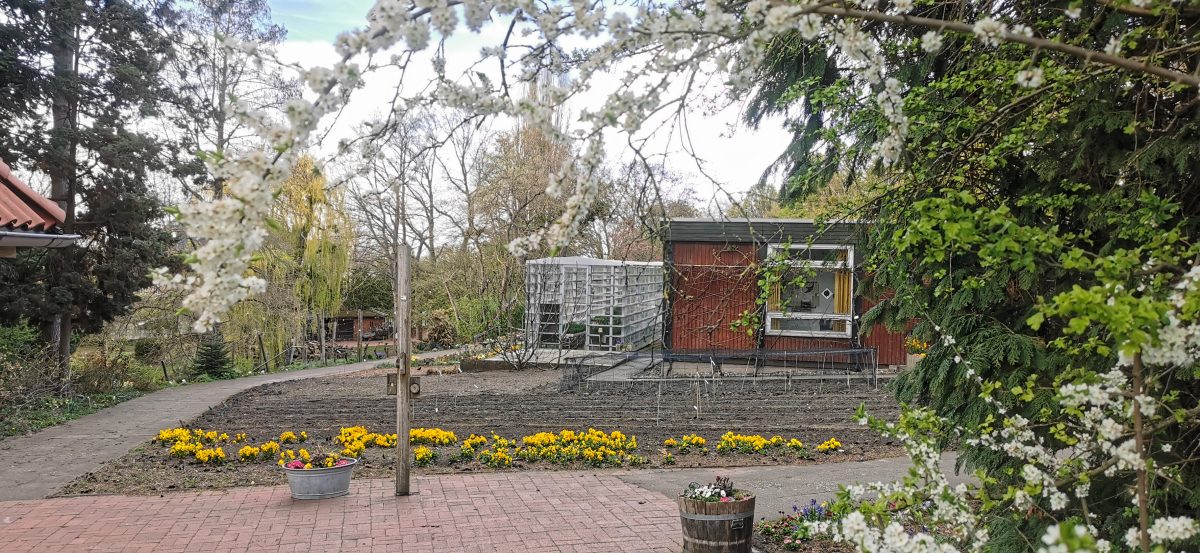 Botanischer Schulgarten Linden