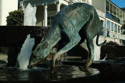 Brunnen mit Hund