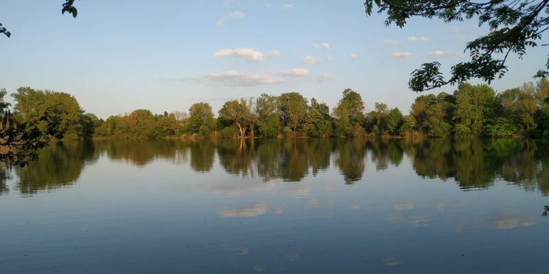 FKK-Badebereich Sieben-Meter-Teich