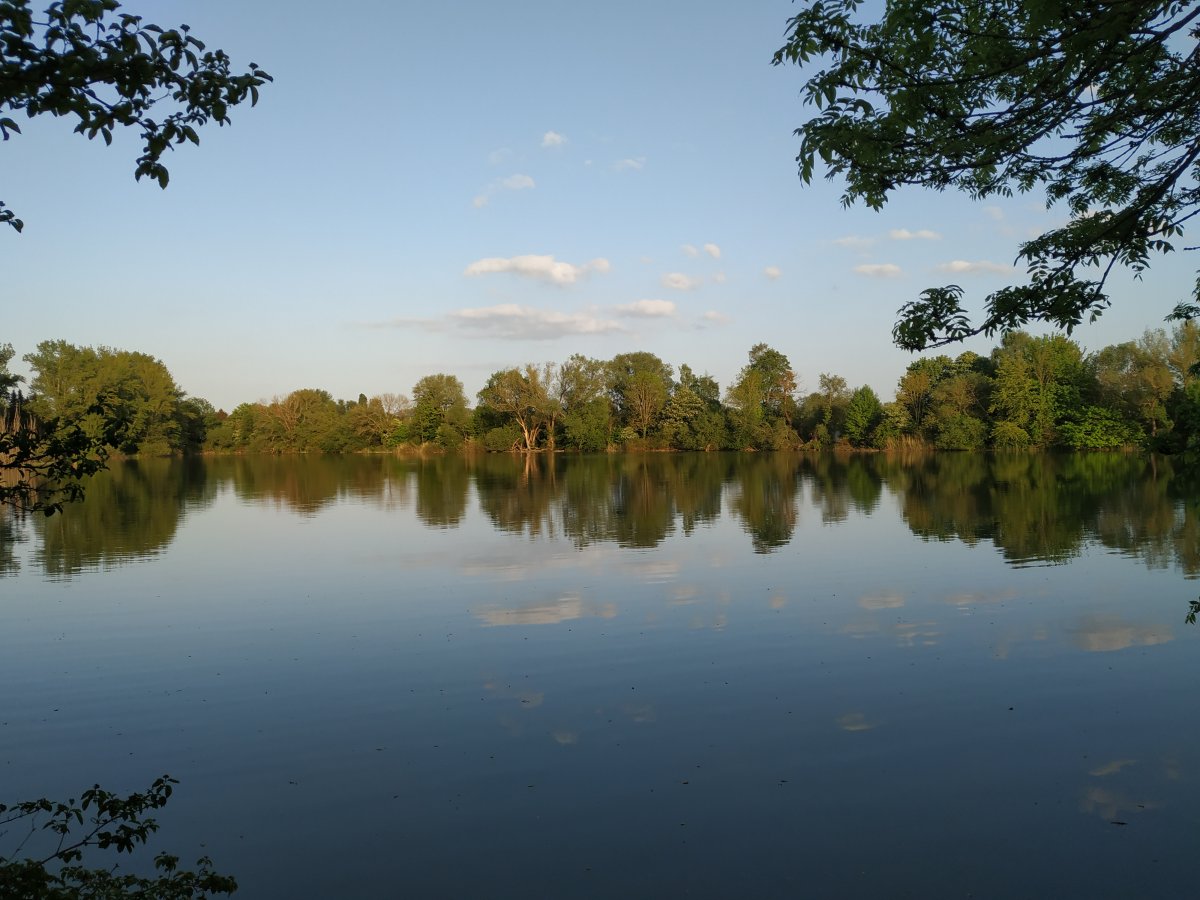 FKK-Badebereich Sieben-Meter-Teich