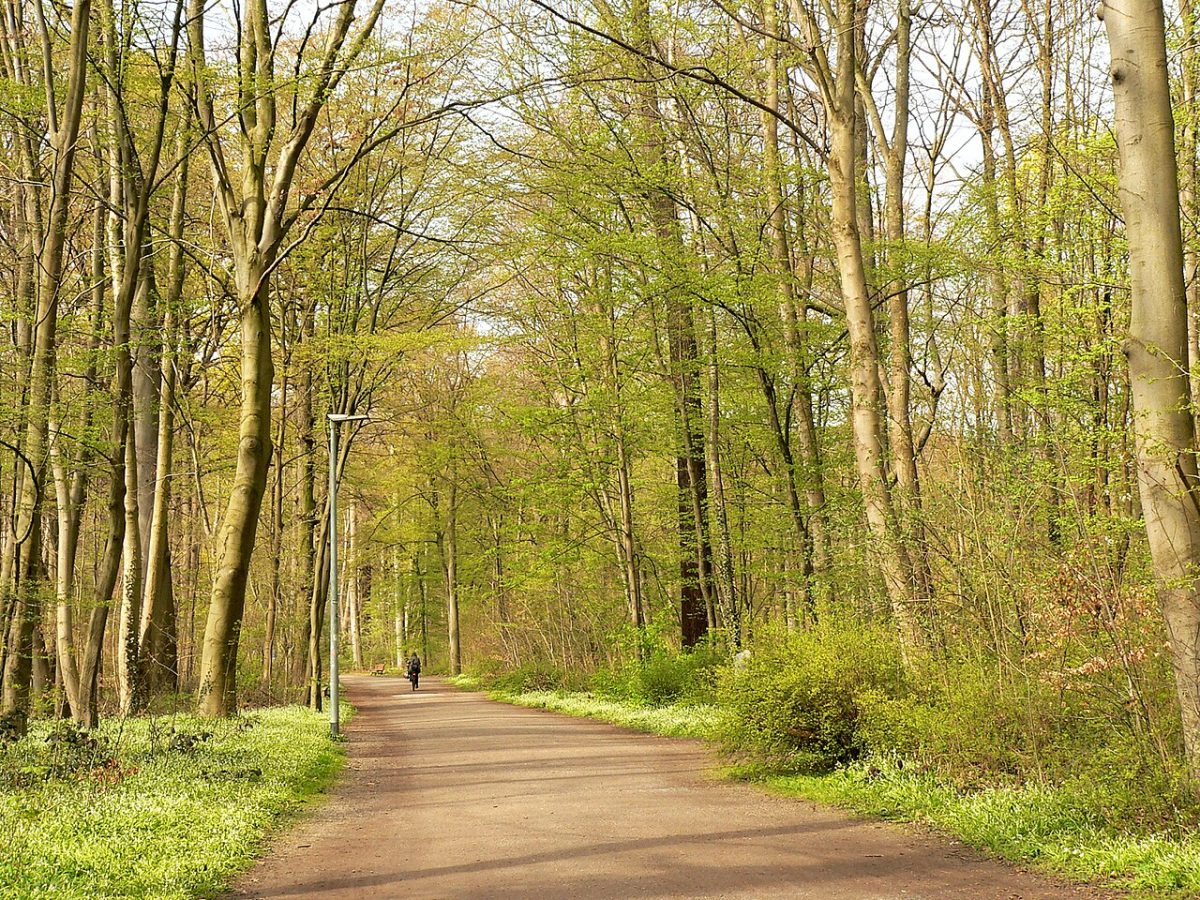Burckhardtdenkmal