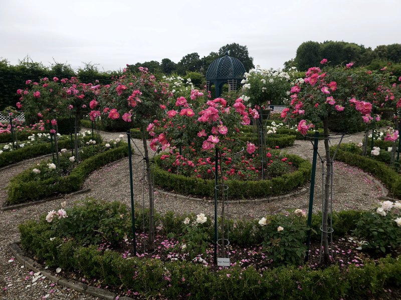 Niederdeutscher Rosengarten