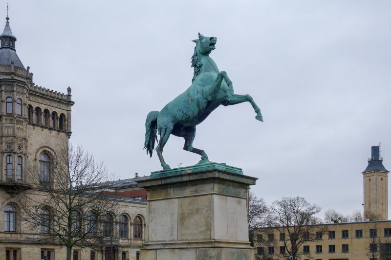 Sachsenross