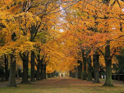 Stadtfriedhof Ricklingen