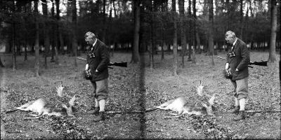 Tiergarten