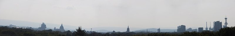 Wald-Hochhaus
