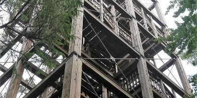 Waldstation Eilenriede