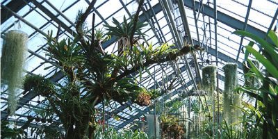Botanischer Garten