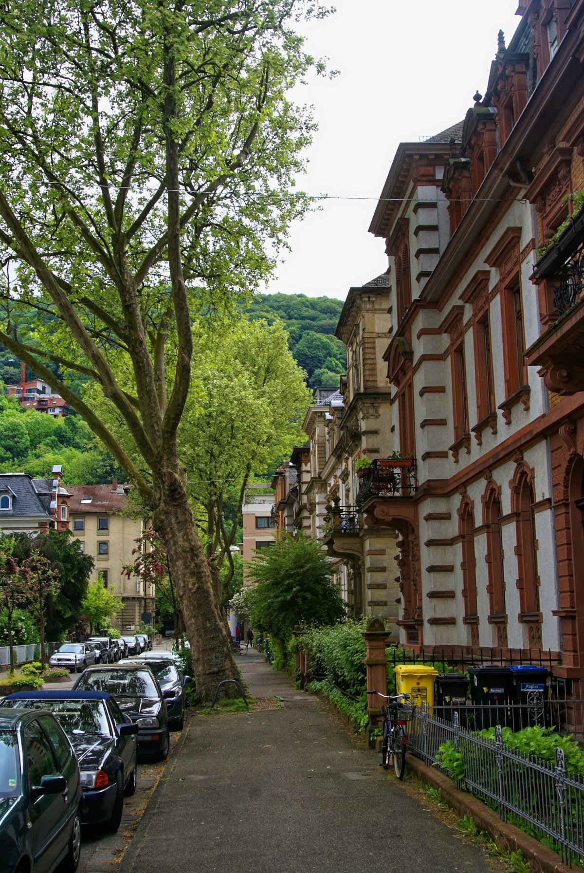 Kunstraum Vincke-Liepmann