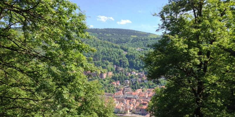 Meriankanzel