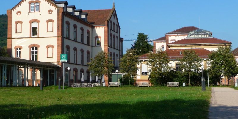 Sammlung Prinzhorn