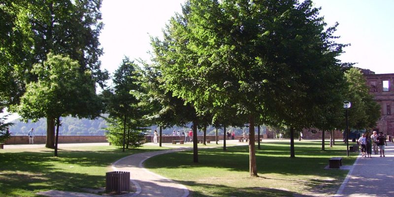 Stückgarten