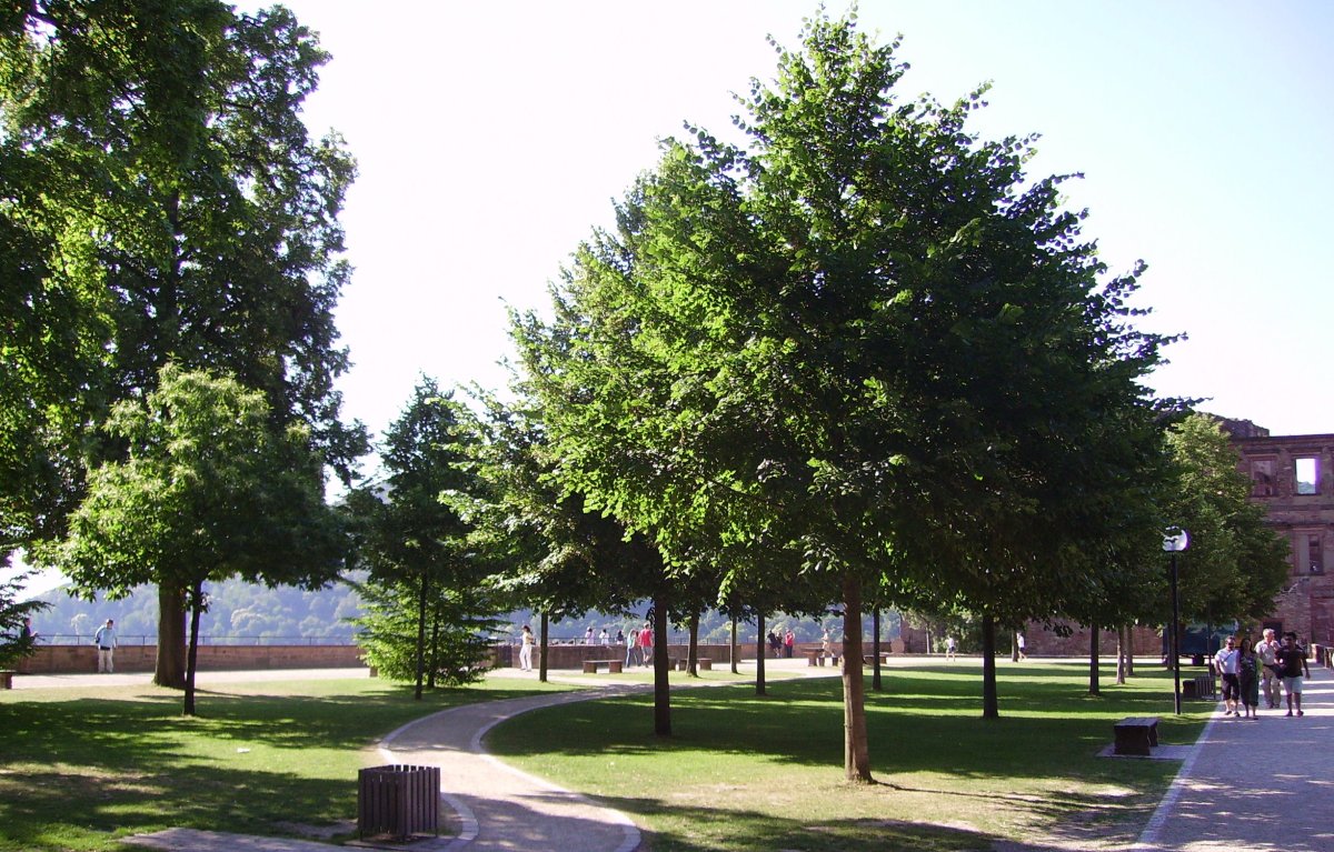 Stückgarten
