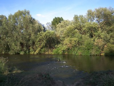 Unterer Neckar: Altneckar Heidelberg-Wieblingen