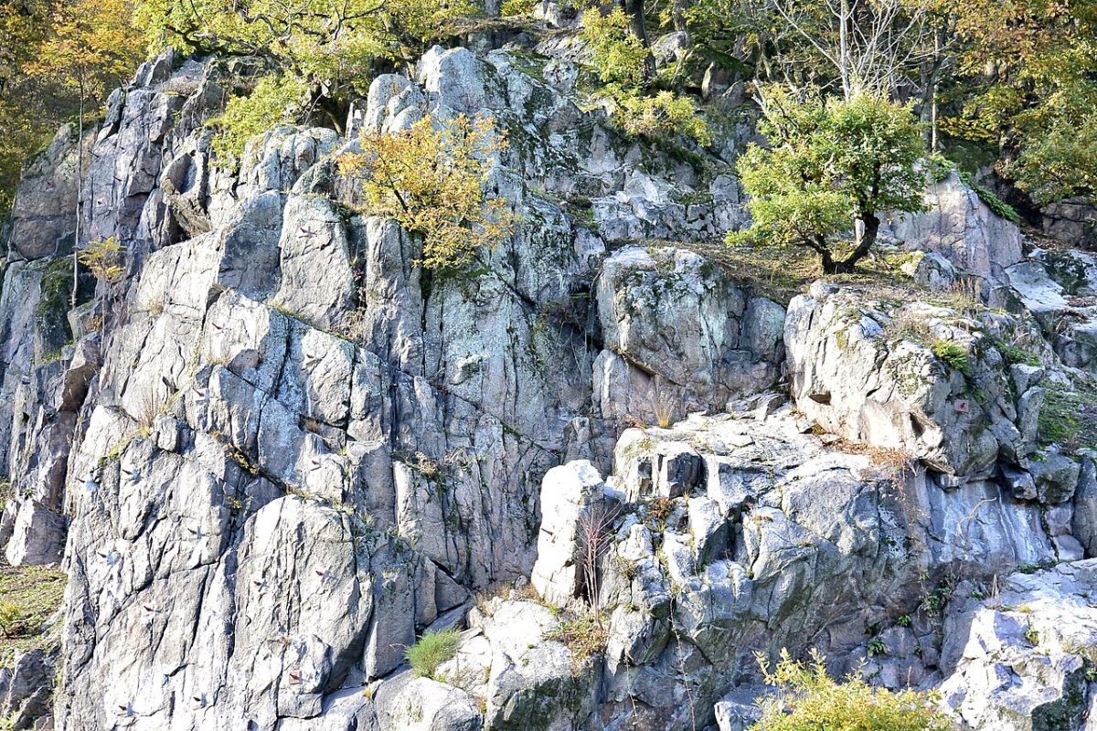 Wilckensfels