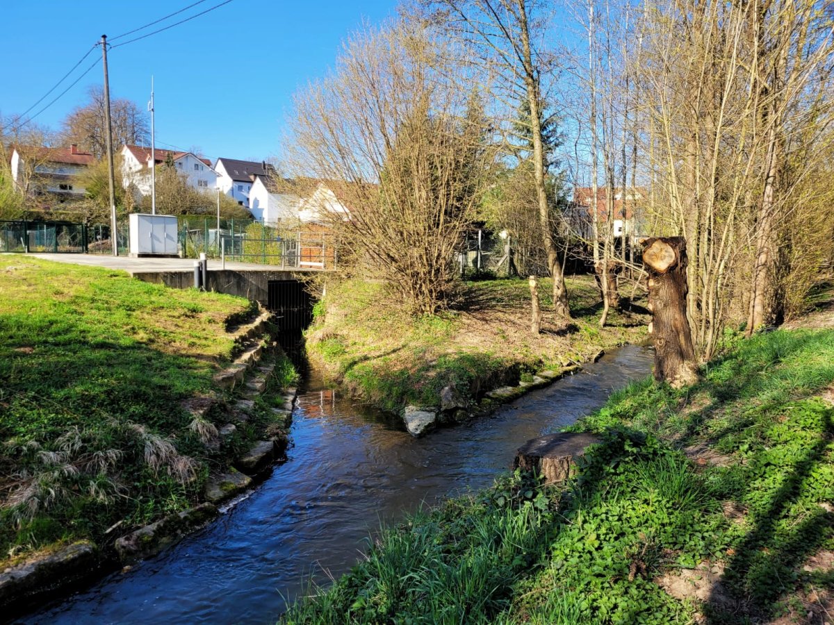 Böllinger Bach