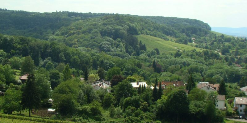 Burgmal