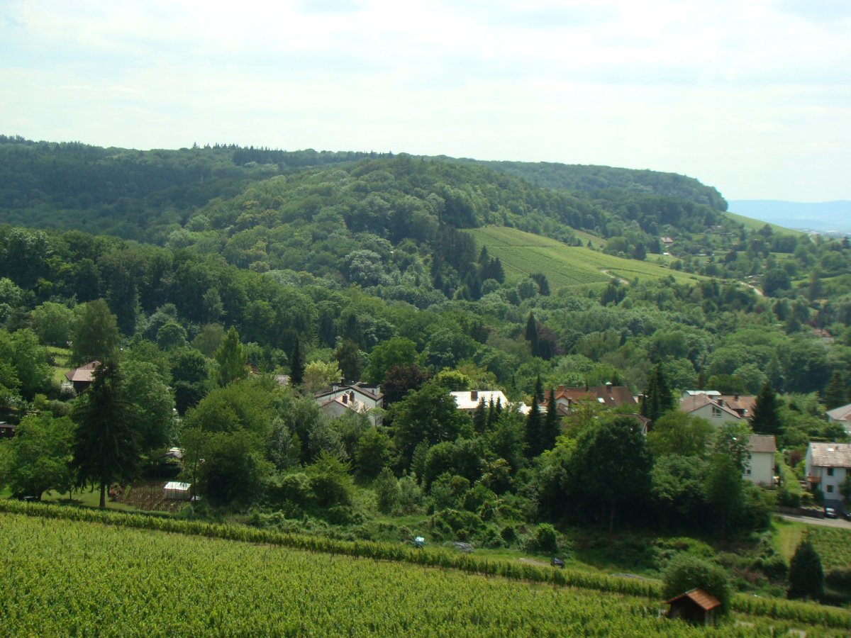 Burgmal