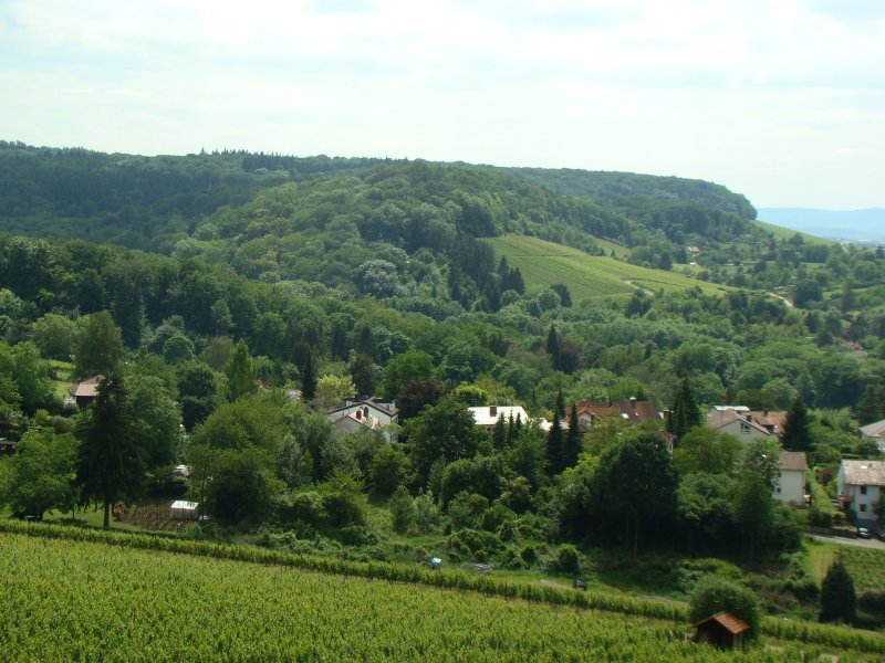 Burgmal