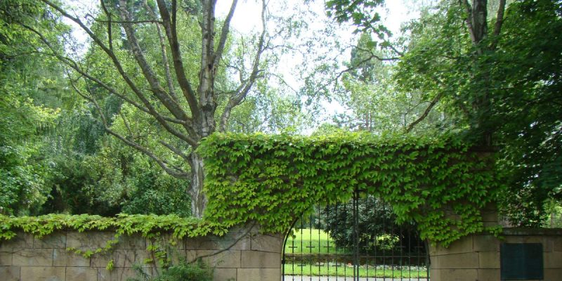 Ehrenfriedhof
