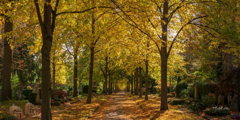 Hauptfriedhof Heilbronn