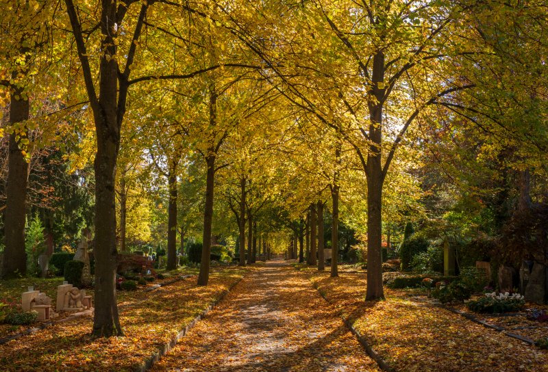 Hauptfriedhof Heilbronn