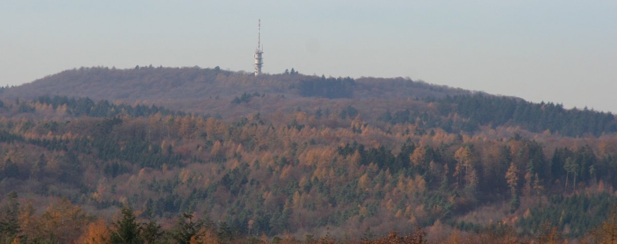 Schweinsberg