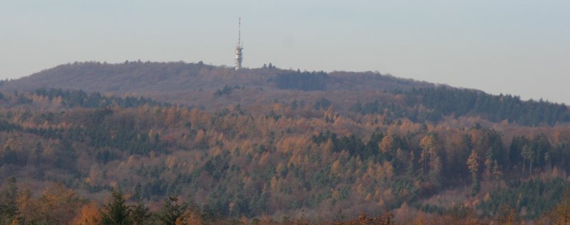 Schweinsberg