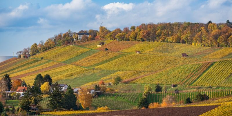 Wartberg