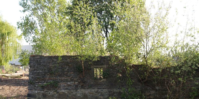 Haus Crange