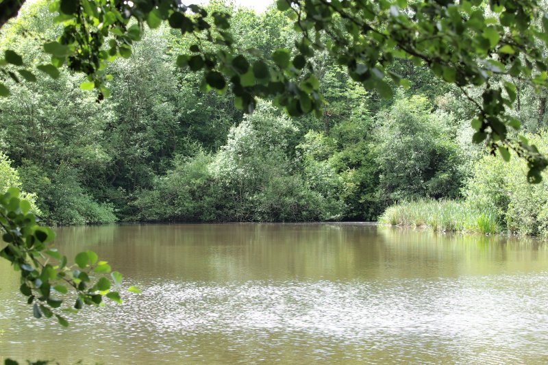 Voßnacken